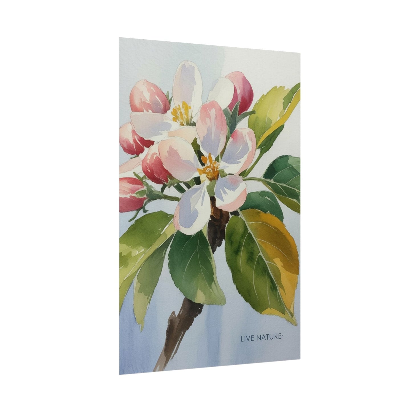 Apple Blossom Watercolor Print 'Live Nature' Design