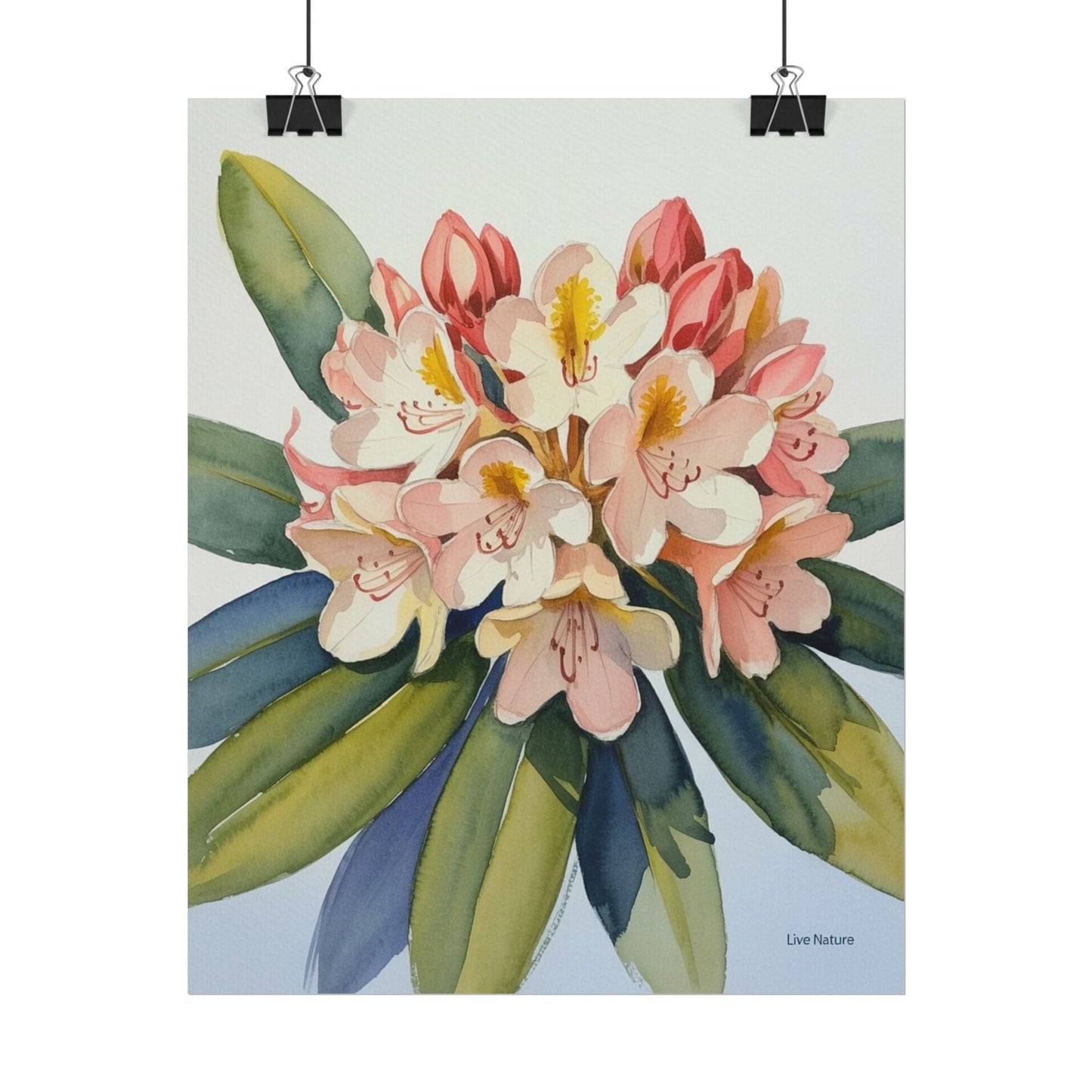 Coast Rhododendron Watercolor Print Washington Art