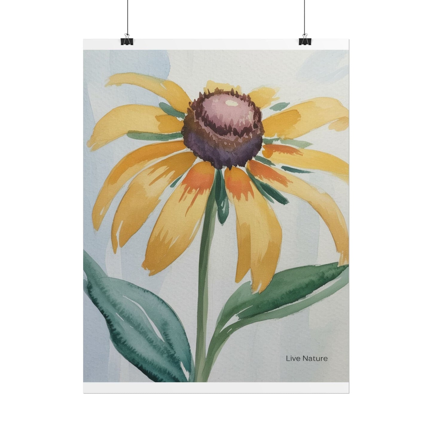 Black Eyed Susan Watercolor Art Print - Live Nature