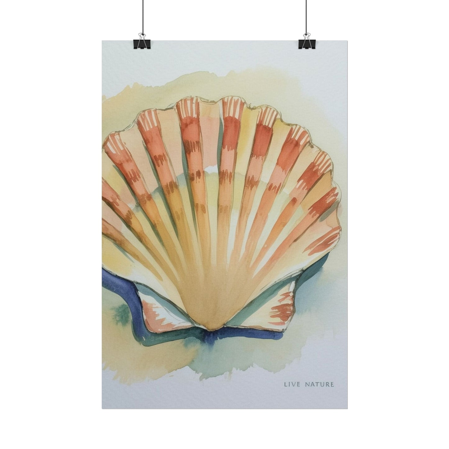 Clam Shell Watercolor Art Print 'Live Nature