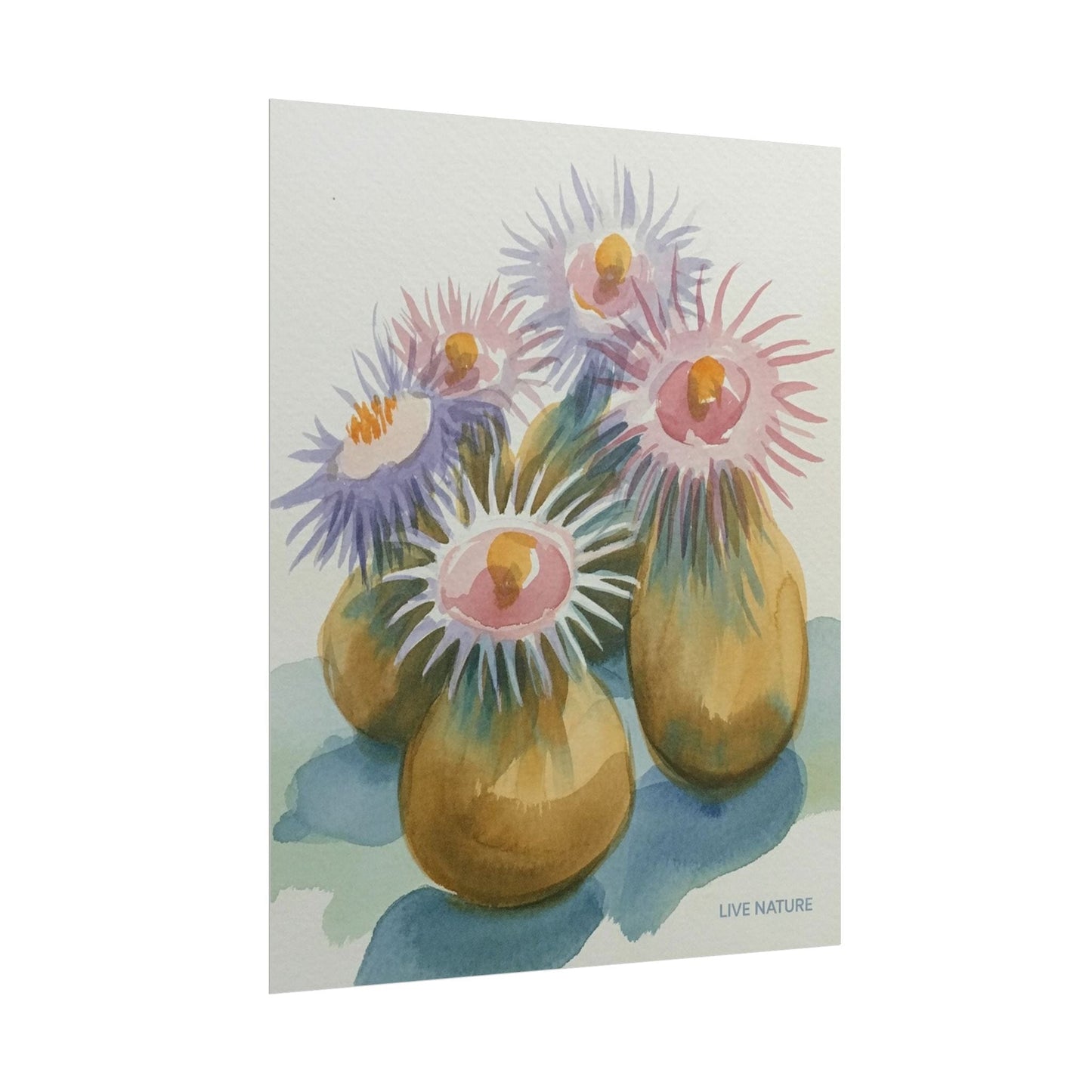 Colorful Sea Anemones Watercolor Art Print
