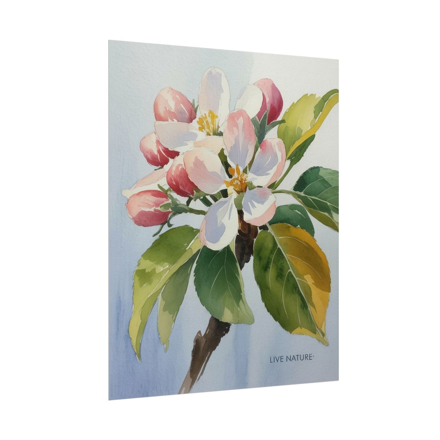 Apple Blossom Watercolor Print 'Live Nature' Design