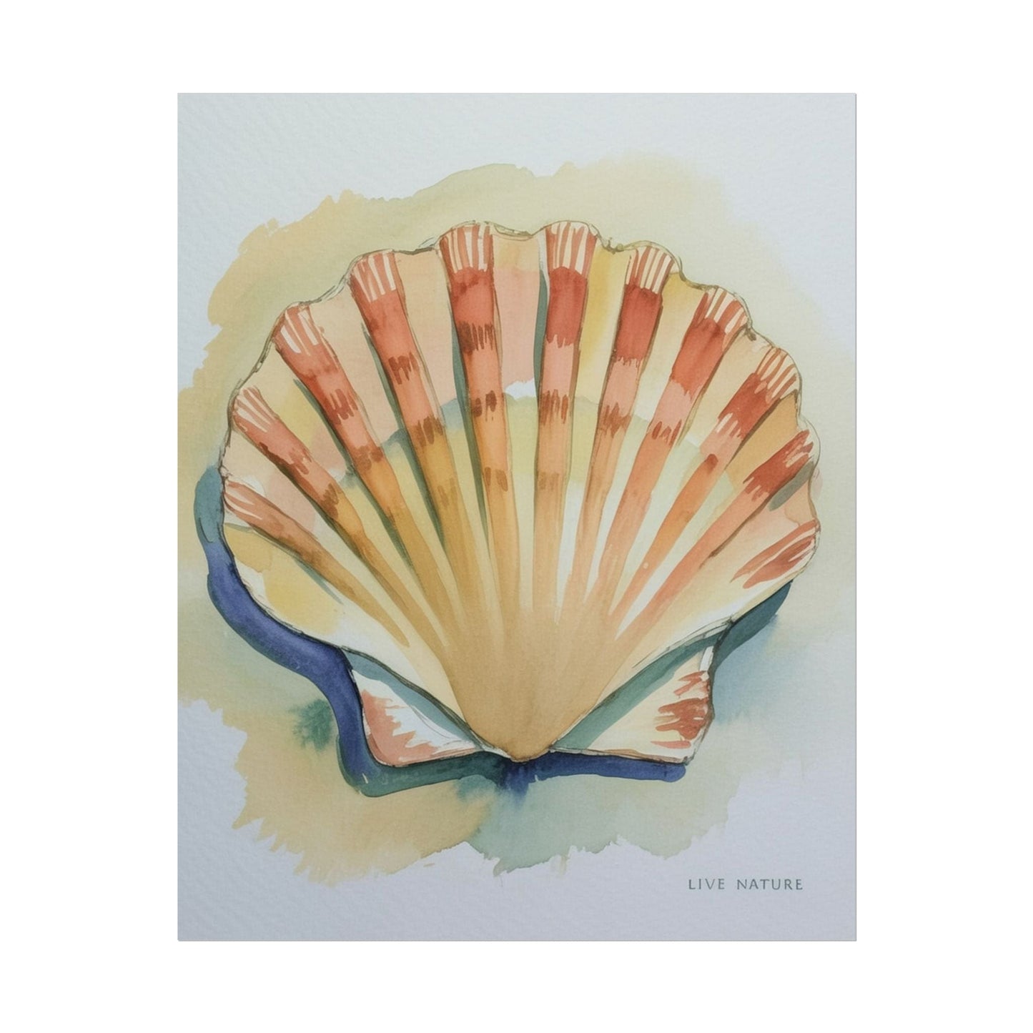 Clam Shell Watercolor Art Print 'Live Nature