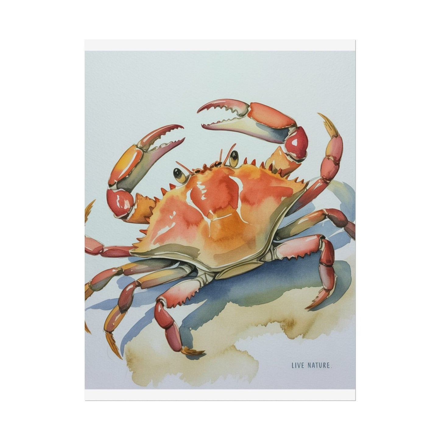 Live Nature Crab Watercolor Art Print Poster