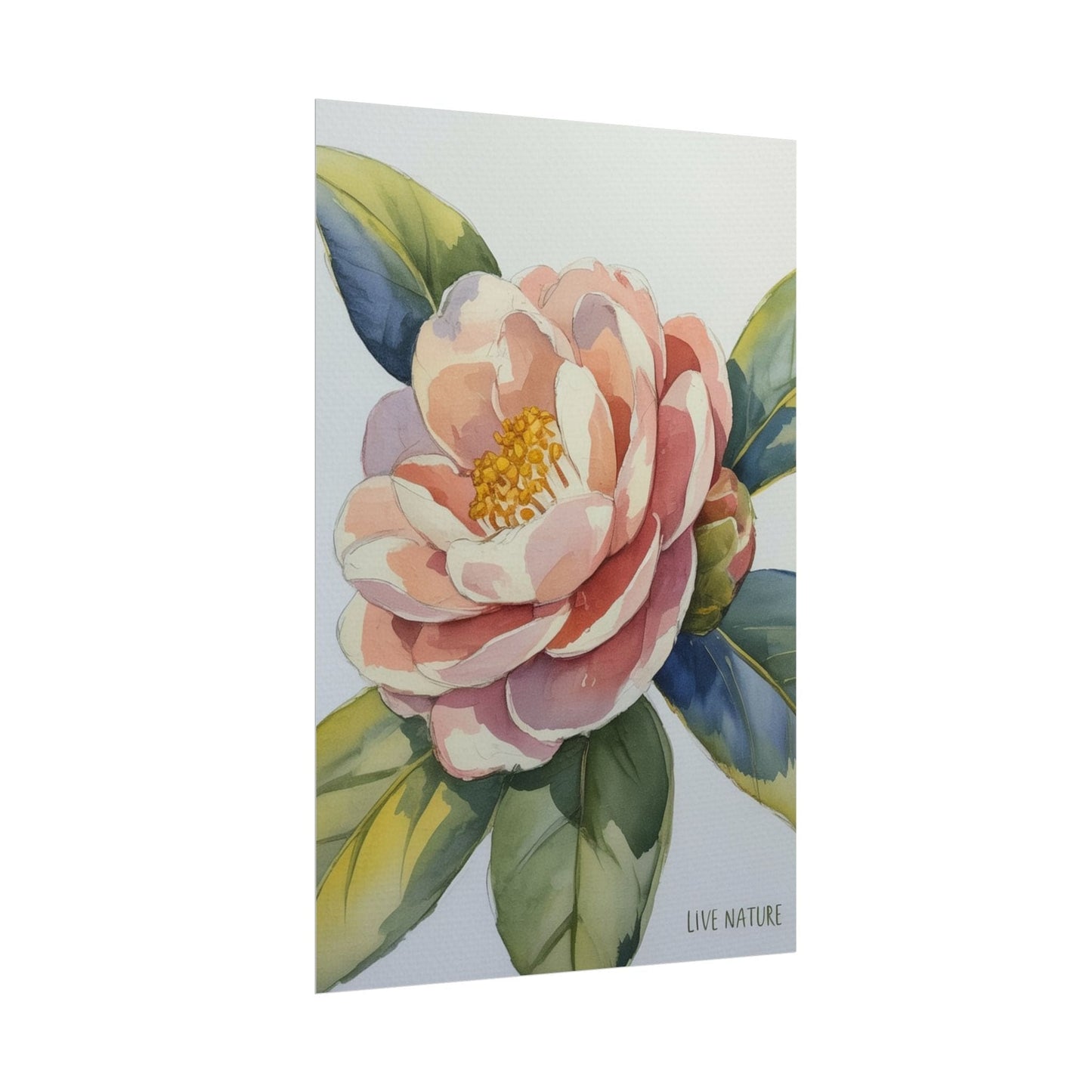 Camellia Flower Watercolor Art Print 'Live Nature