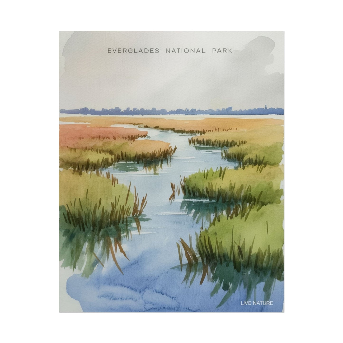 Everglades National Park Watercolor Poster Print