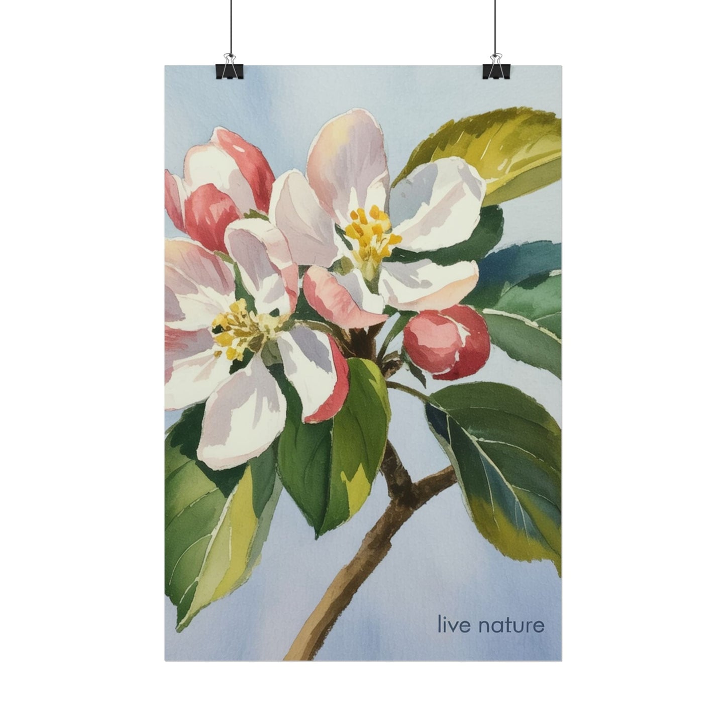 Apple Blossom Watercolor Art Print 'Live Nature' Design