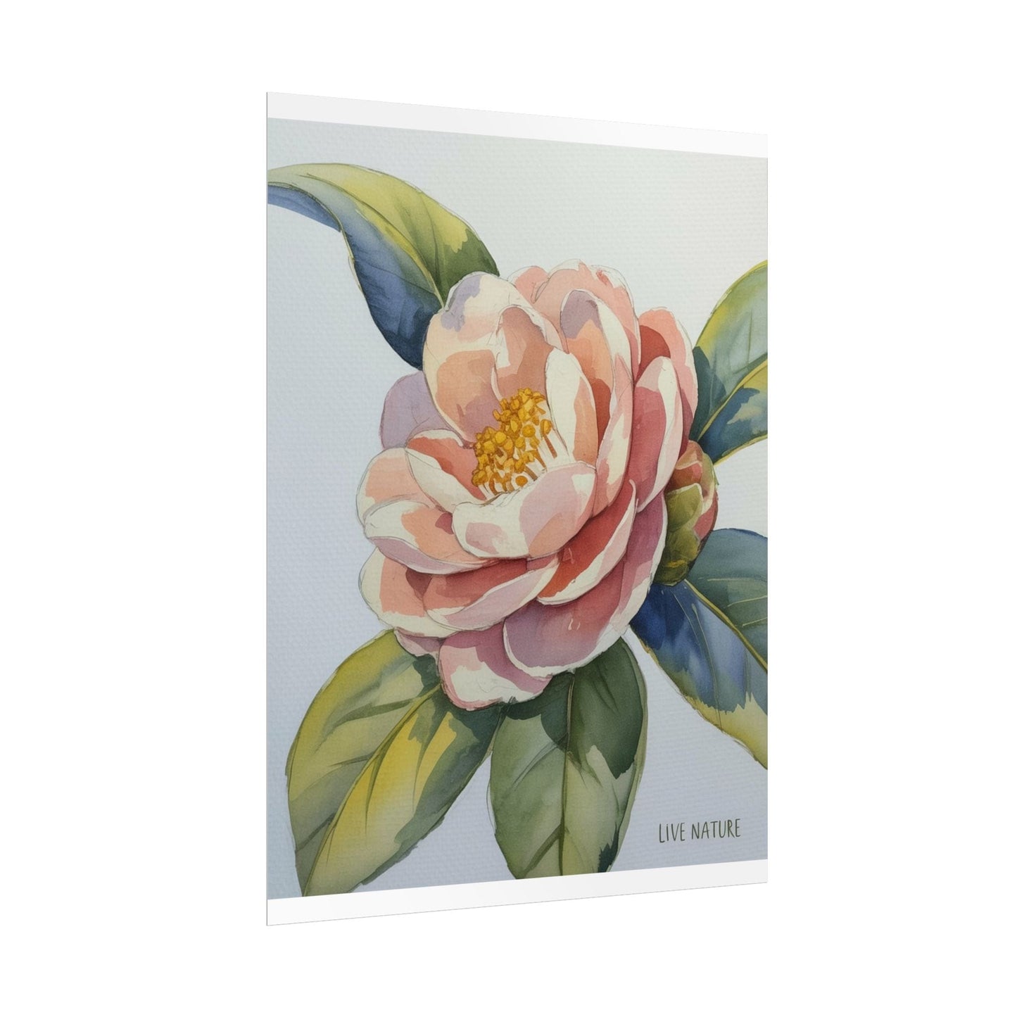 Camellia Flower Watercolor Art Print 'Live Nature