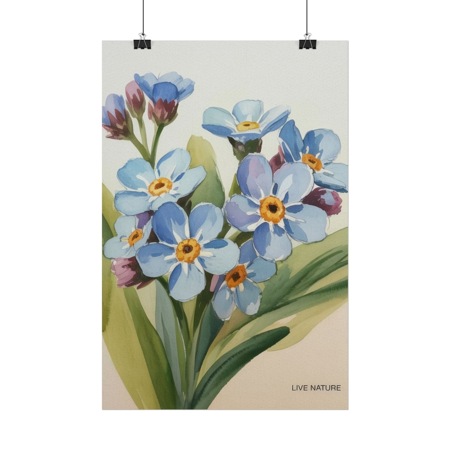 Alaska Forget-Me-Not Floral Watercolor Art Print