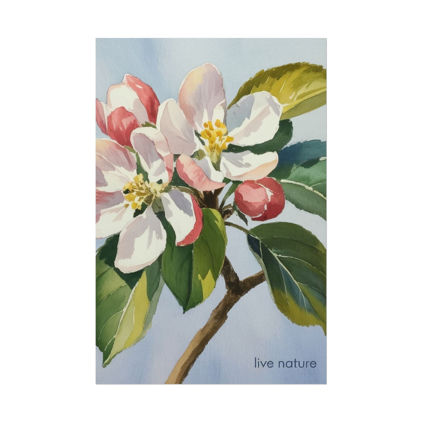 Apple Blossom Watercolor Art Print 'Live Nature' Design