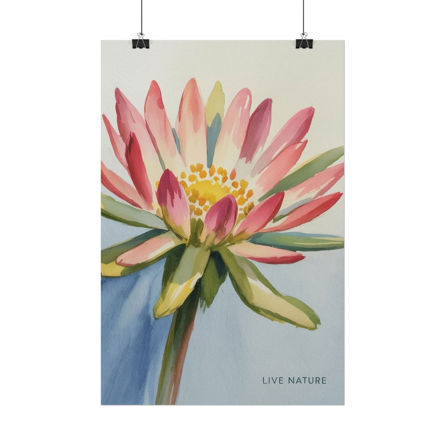 Bitterroot Flower Watercolor Print 'Live Nature