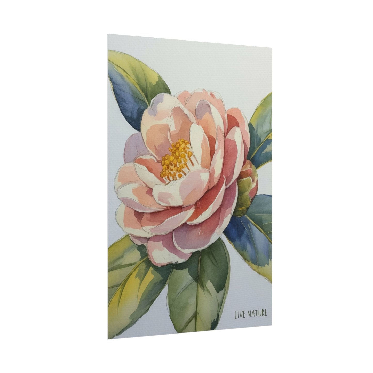 Camellia Flower Watercolor Art Print 'Live Nature