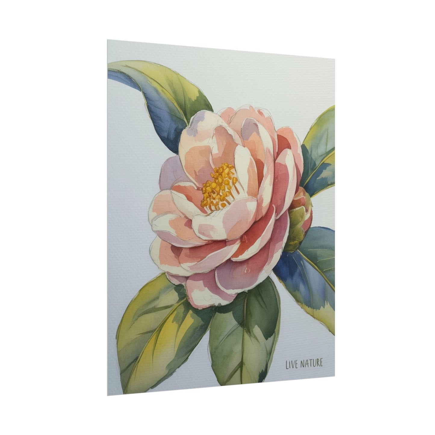 Camellia Flower Watercolor Art Print 'Live Nature
