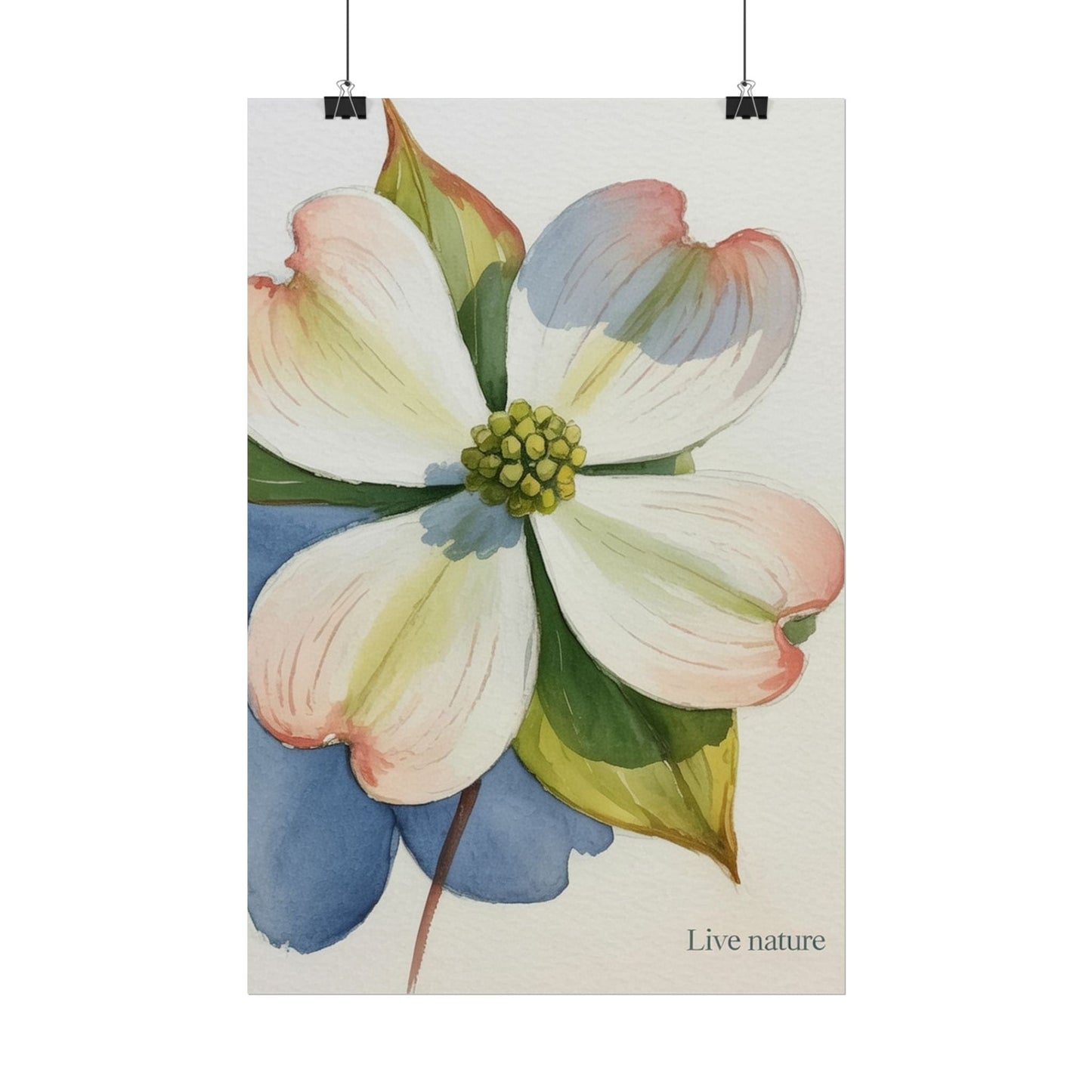 Flowering Dogwood Watercolor Print 'Live Nature