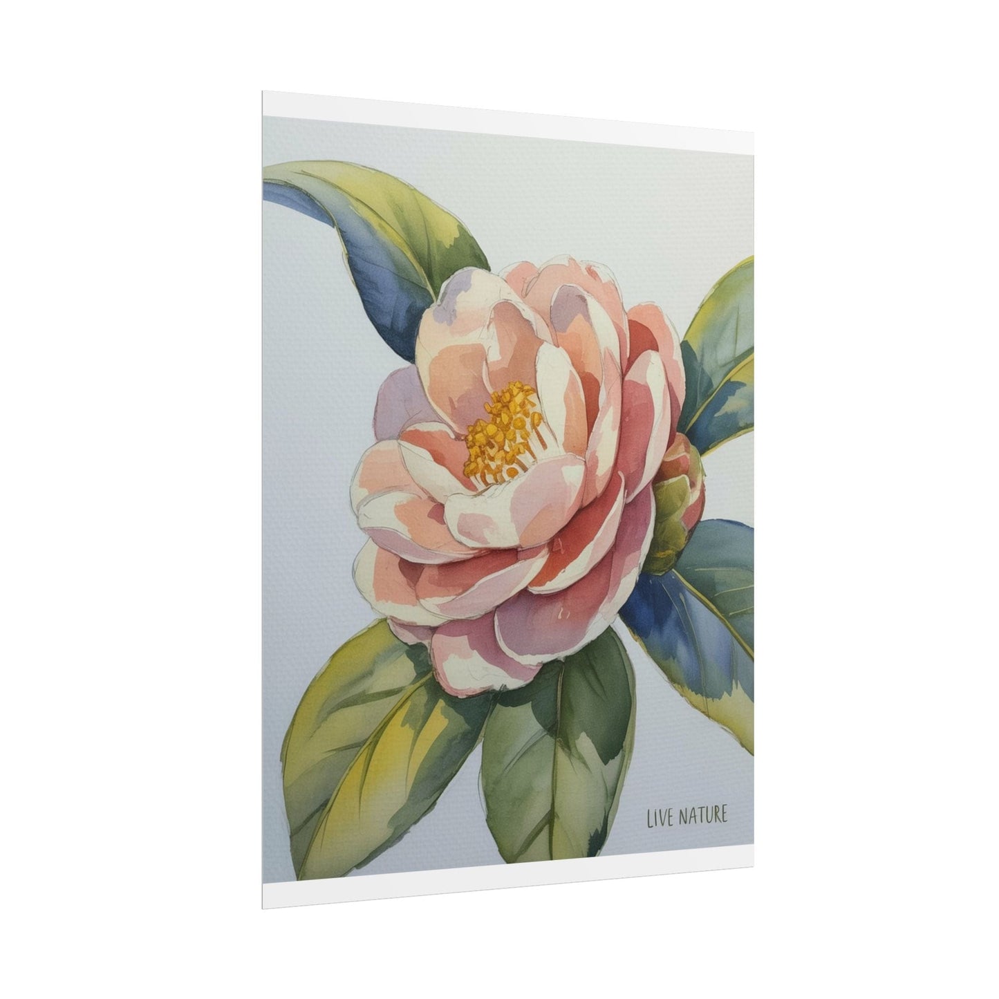 Camellia Flower Watercolor Art Print 'Live Nature