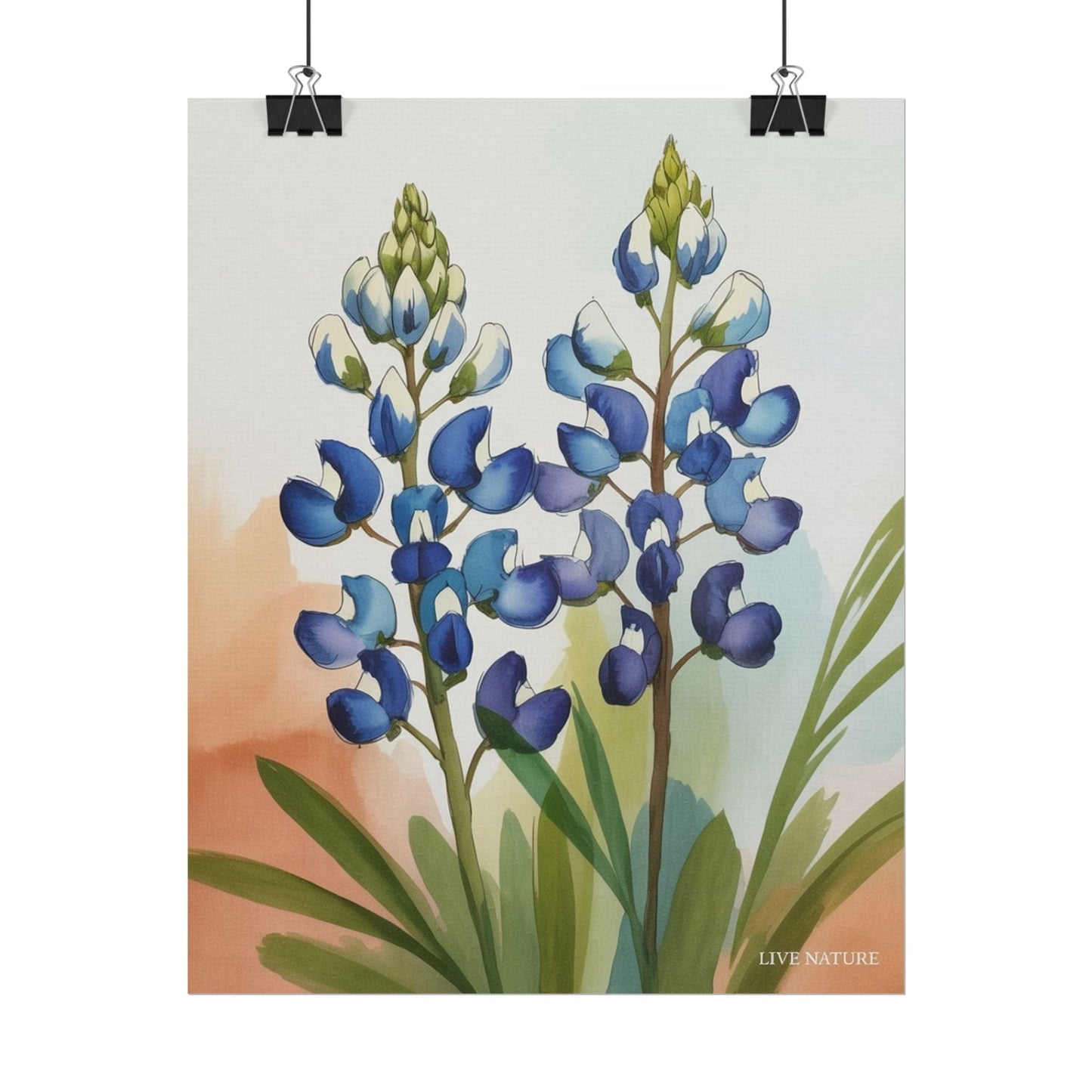 Texas Bluebonnet Watercolor Art Print Matte Finish