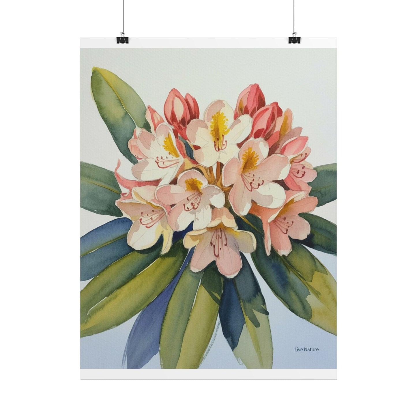 Coast Rhododendron Watercolor Print Washington Art