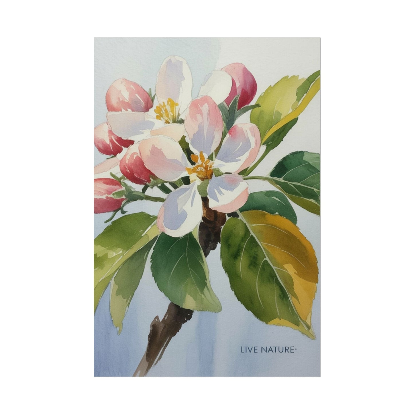 Apple Blossom Watercolor Print 'Live Nature' Design