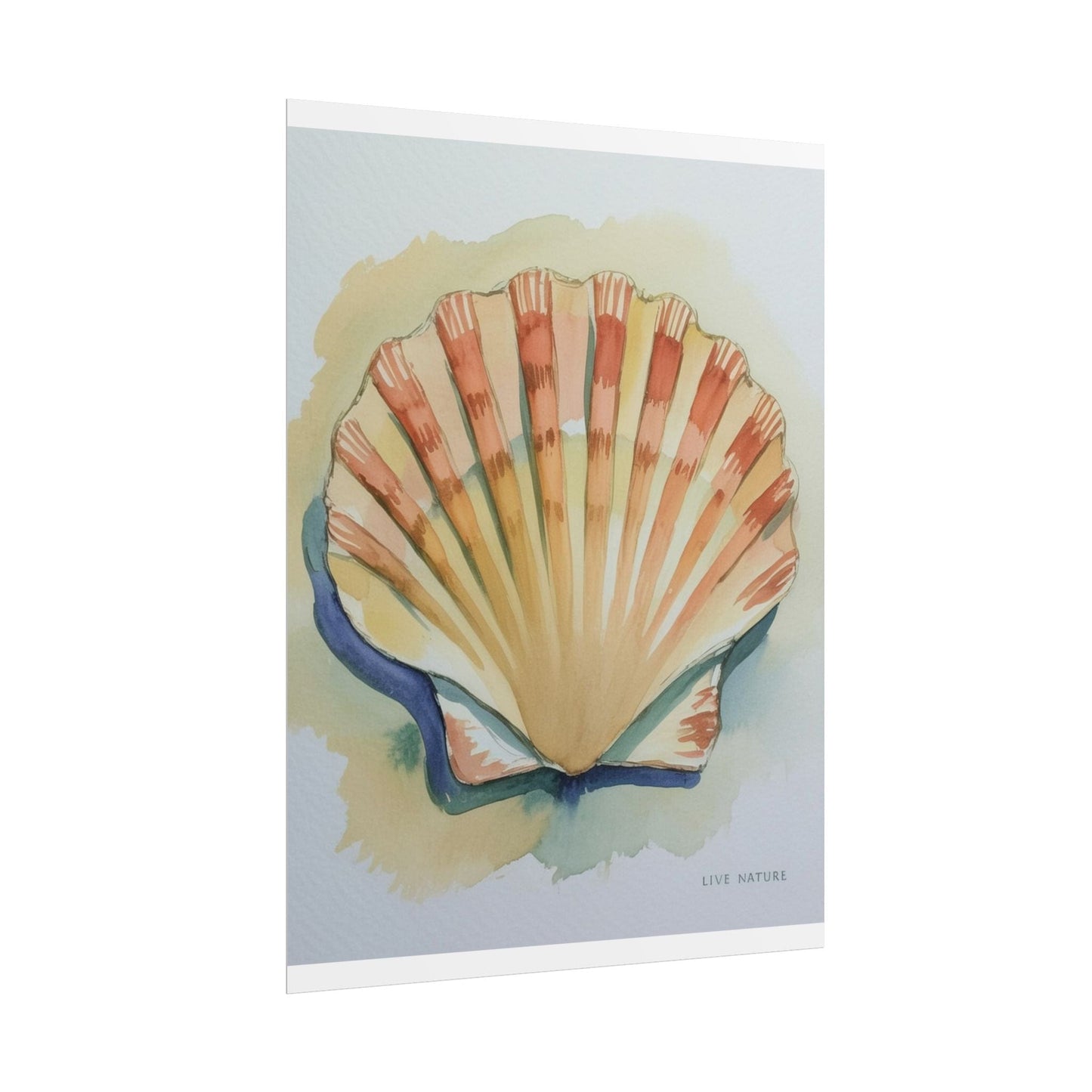 Clam Shell Watercolor Art Print 'Live Nature
