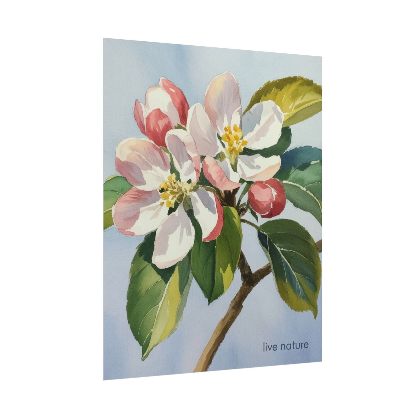 Apple Blossom Watercolor Art Print 'Live Nature' Design