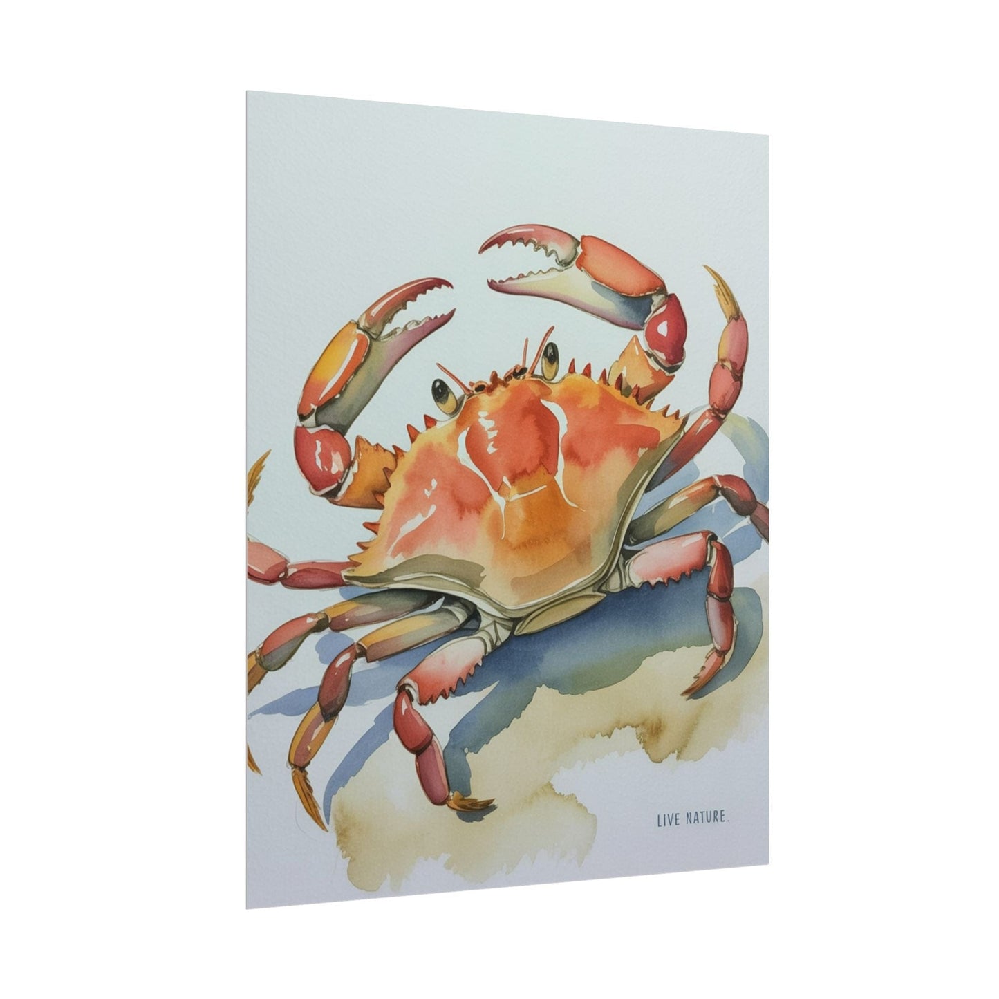 Live Nature Crab Watercolor Art Print Poster