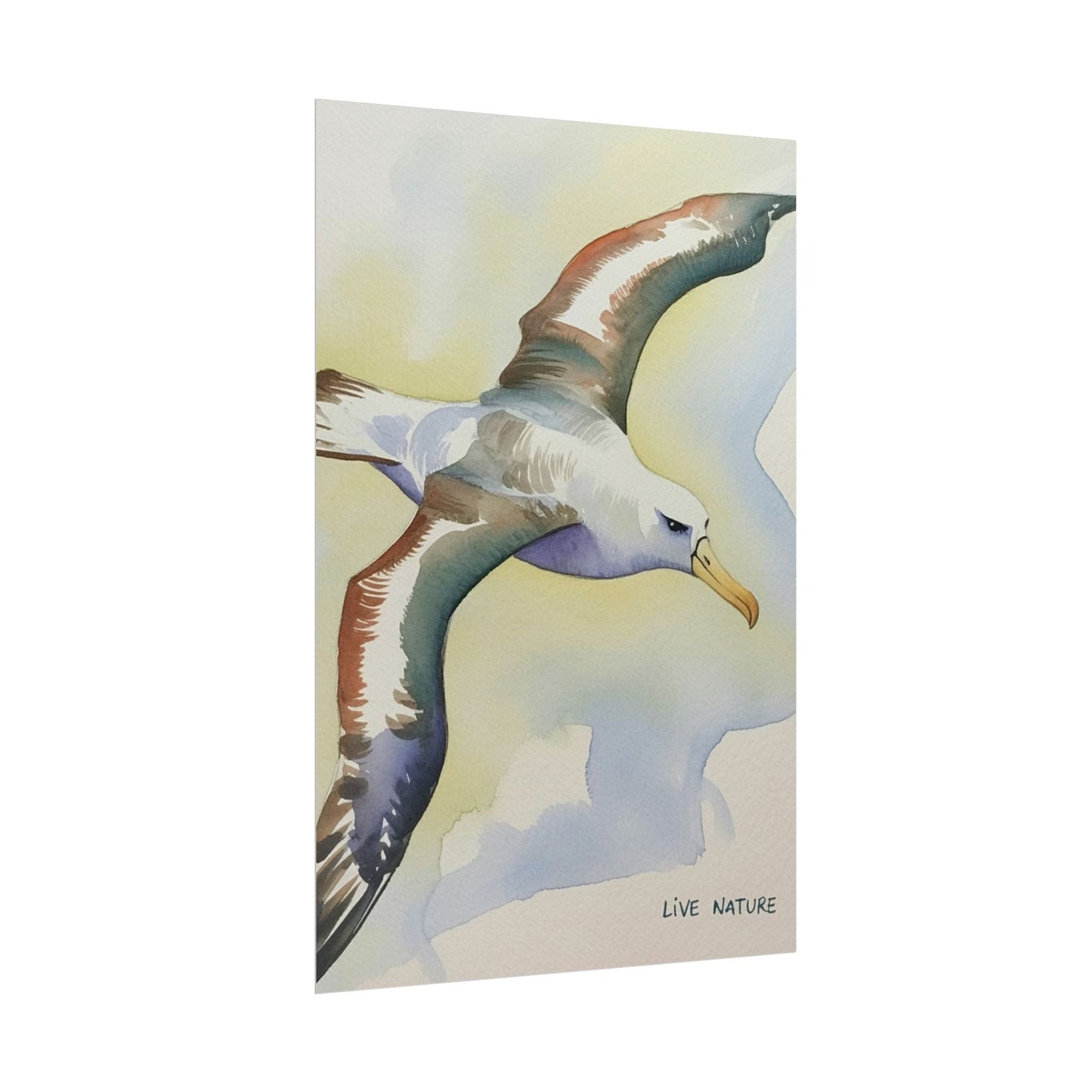 Albatross Watercolor Art Print - Live Nature Design