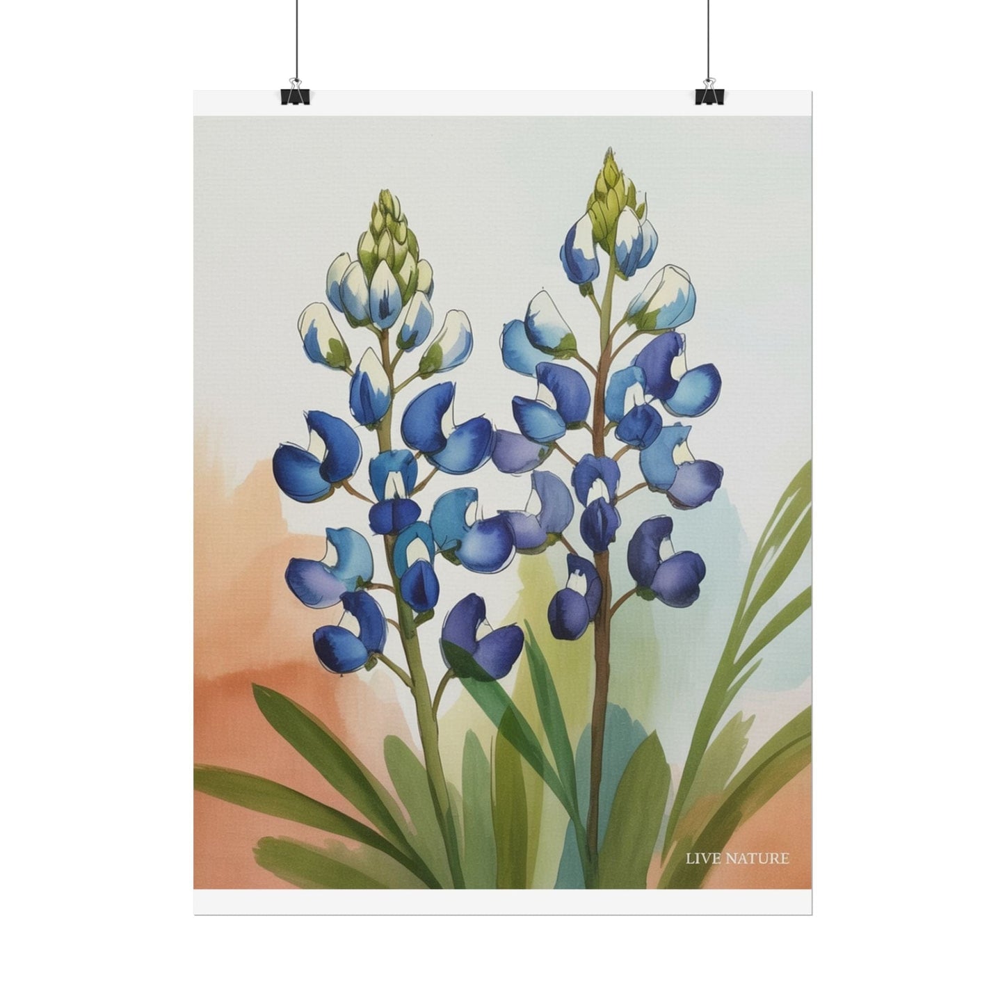 Texas Bluebonnet Watercolor Art Print Matte Finish