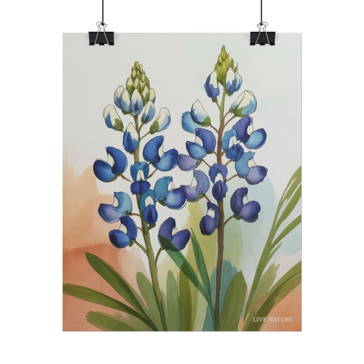 Texas Bluebonnet Watercolor Art Print Matte Finish