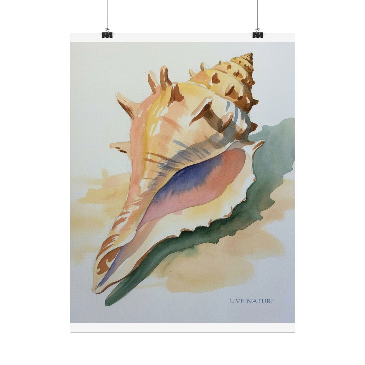 Conch Shell Watercolor Print 'Live Nature' Design