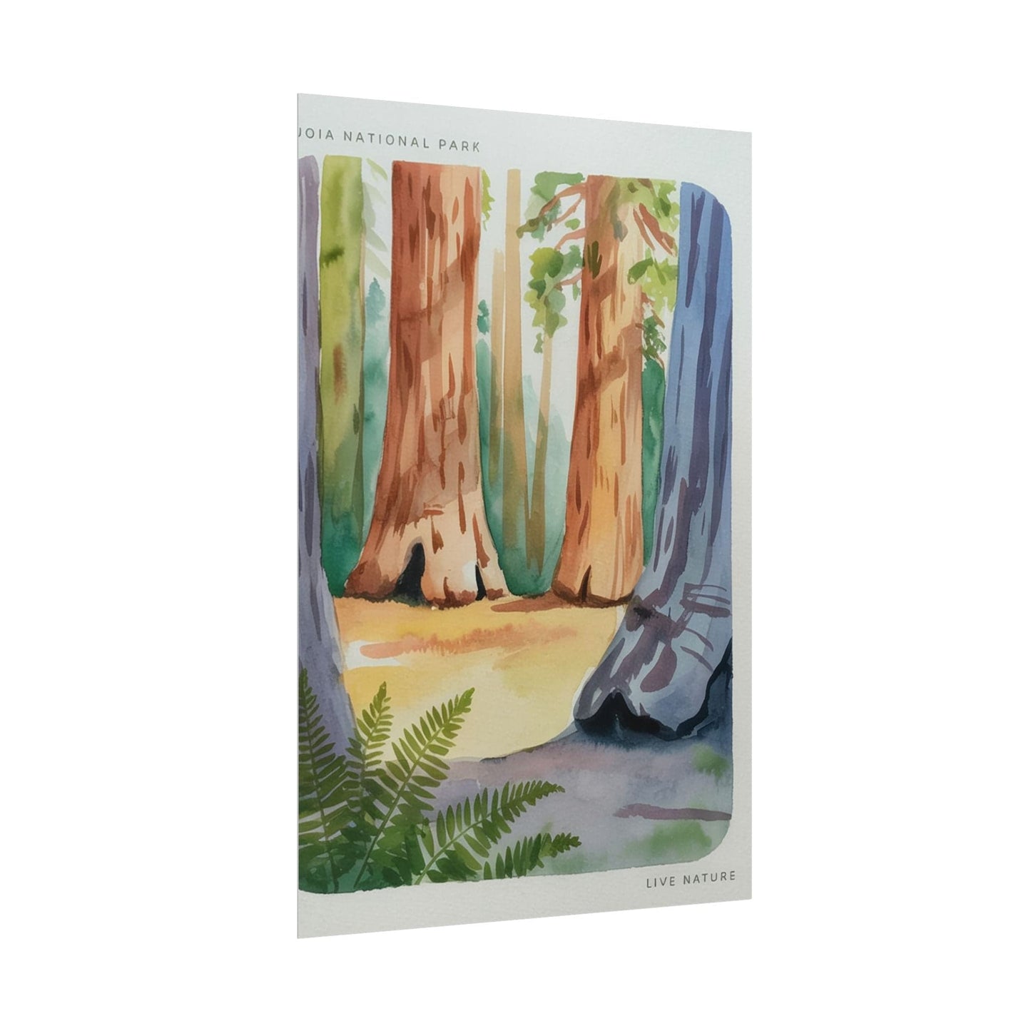 Sequoia National Park Watercolor Print Poster