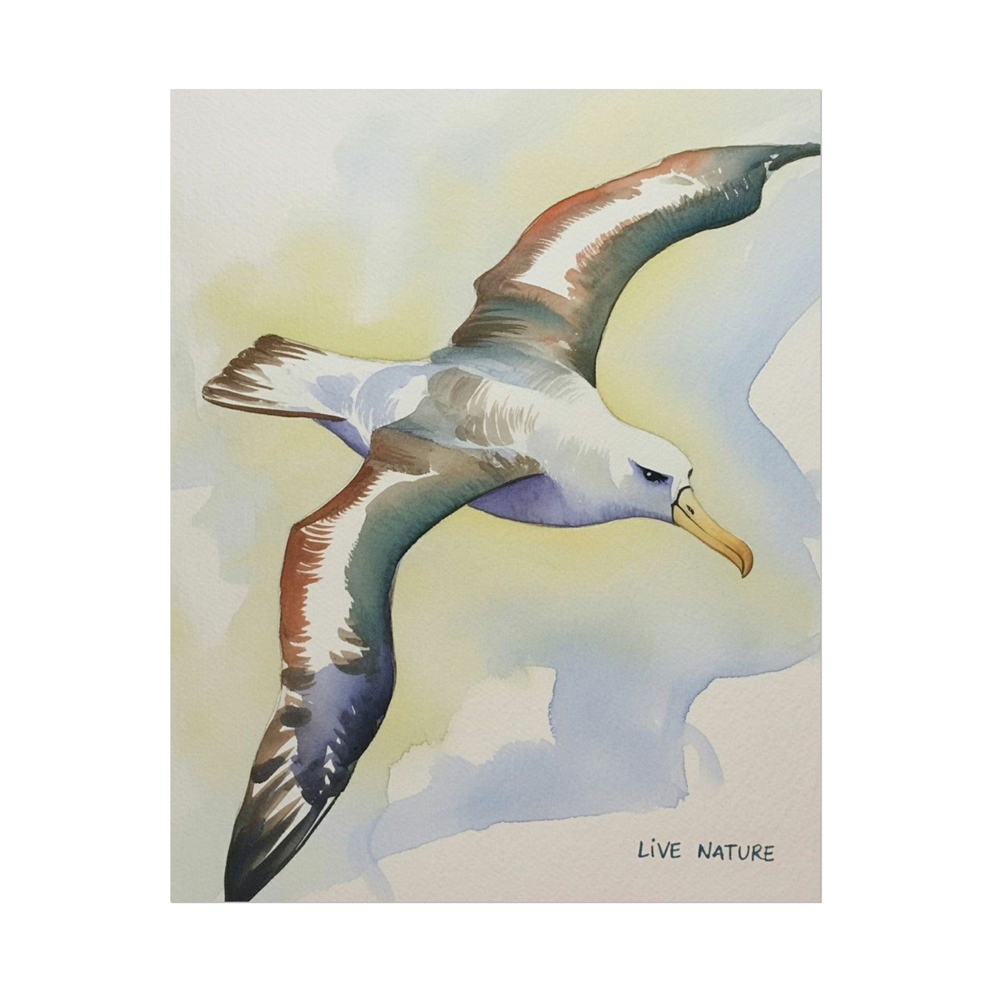 Albatross Watercolor Art Print - Live Nature Design