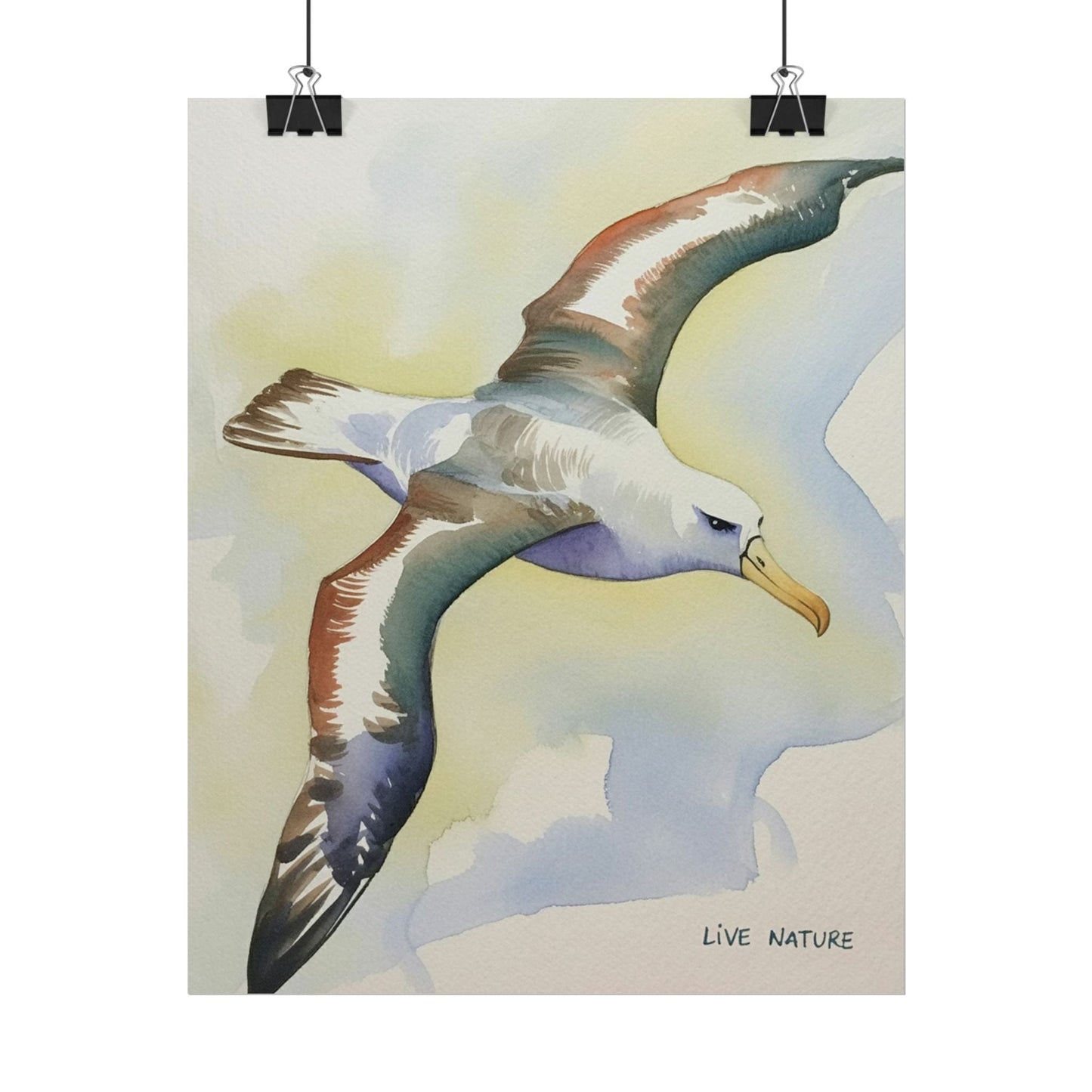 Albatross Watercolor Art Print - Live Nature Design