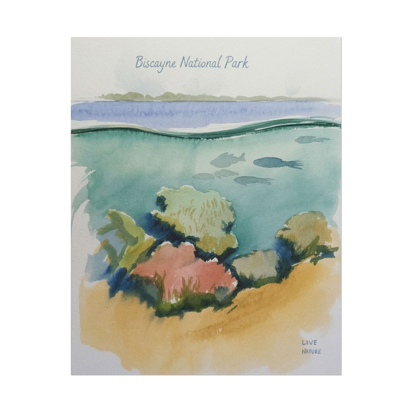 Biscayne National Park Underwater Watercolor Print