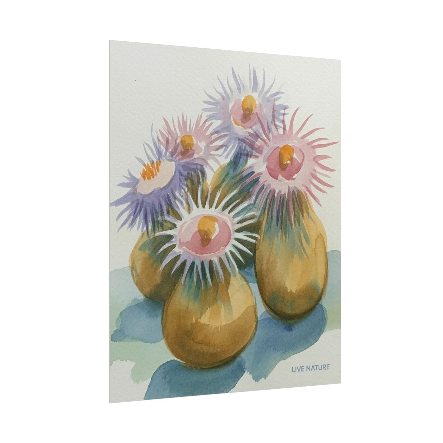 Colorful Sea Anemones Watercolor Art Print