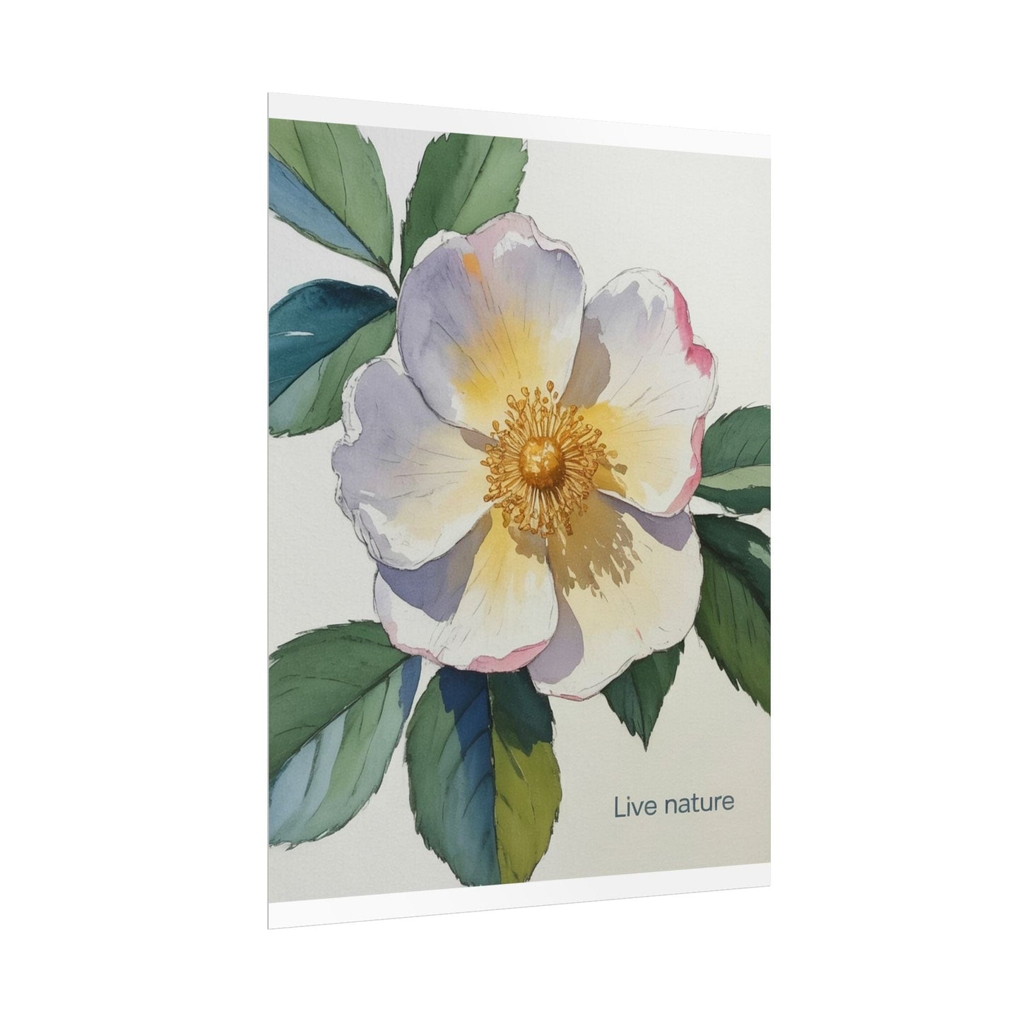 Cherokee Rose Watercolor Art Print 'Live Nature
