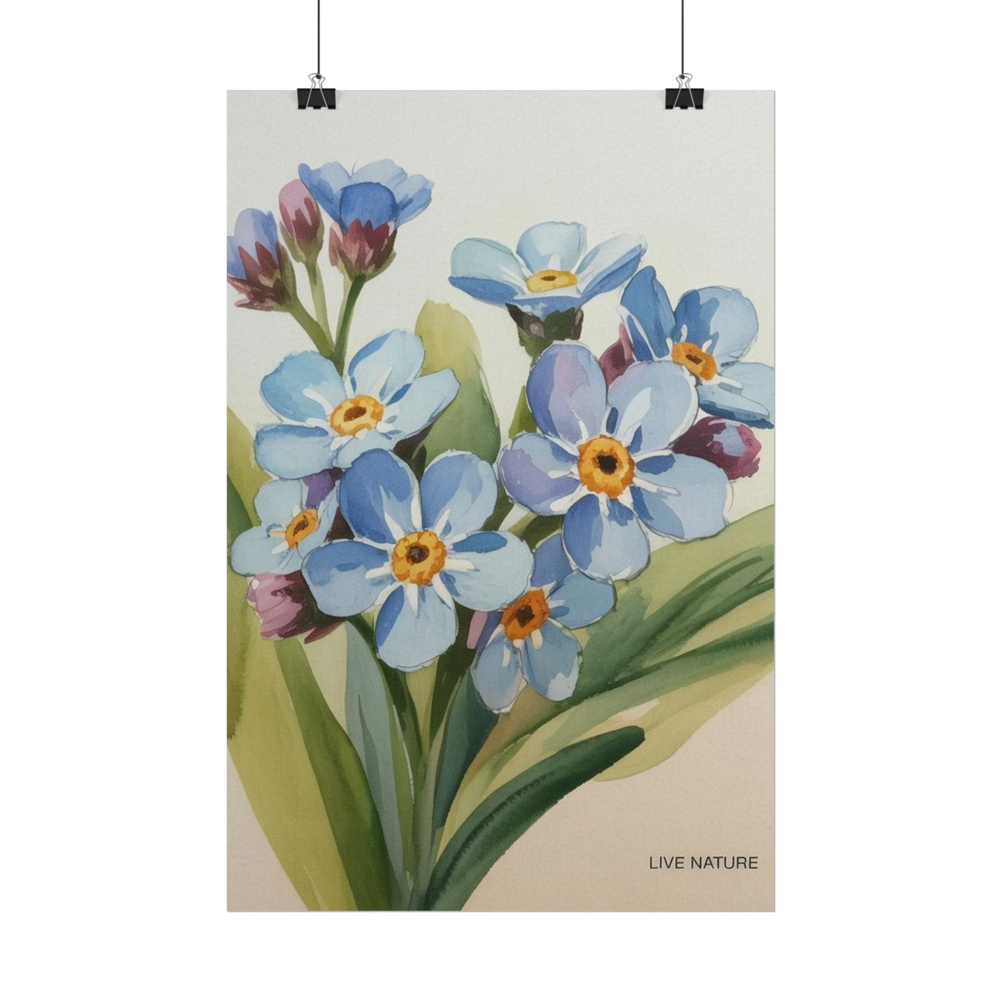 Alaska Forget-Me-Not Floral Watercolor Art Print