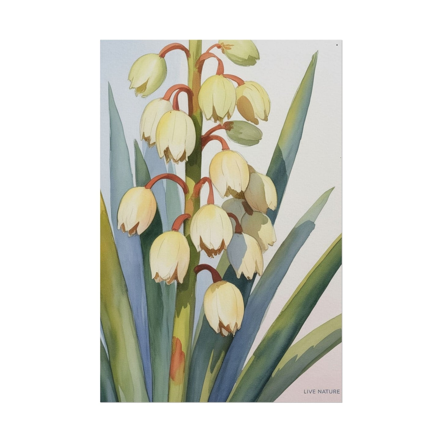 Yucca Bloom Watercolor Print Live Nature Collection