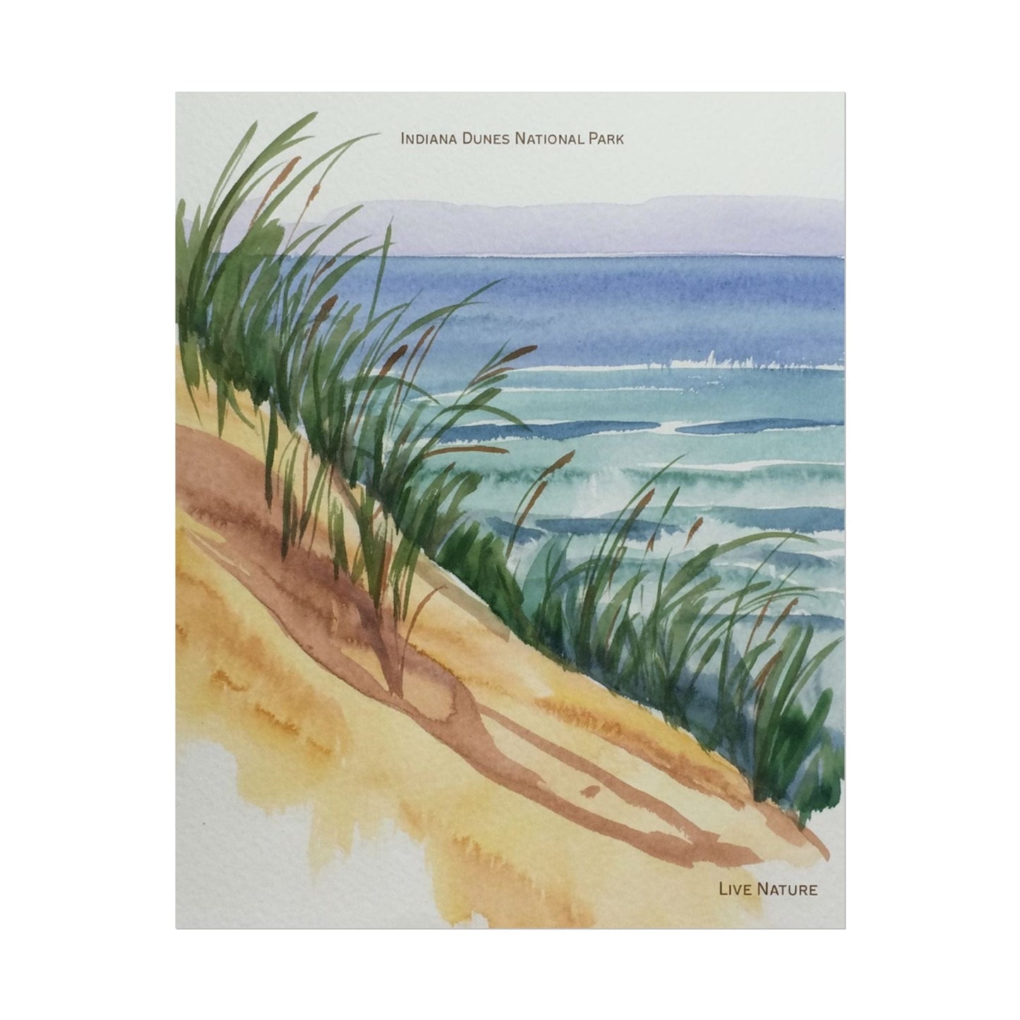 Indiana Dunes National Park Watercolor Print