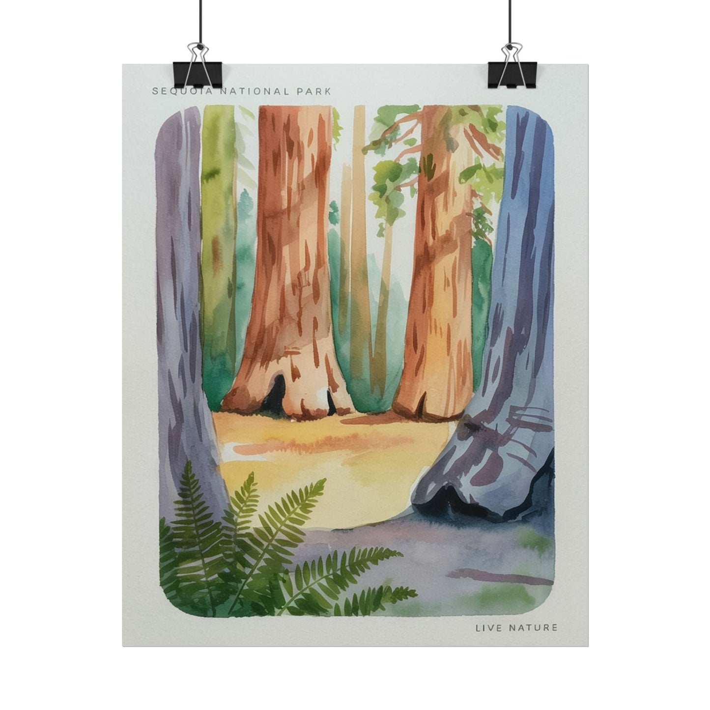 Sequoia National Park Watercolor Print Poster