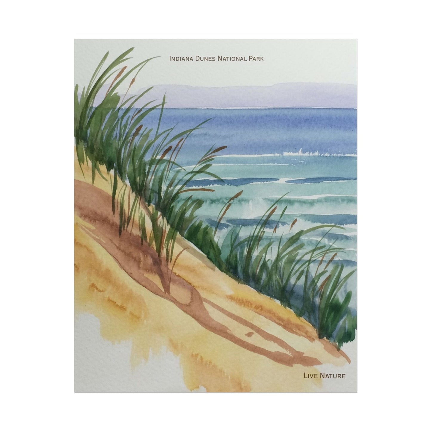 Indiana Dunes National Park Watercolor Print