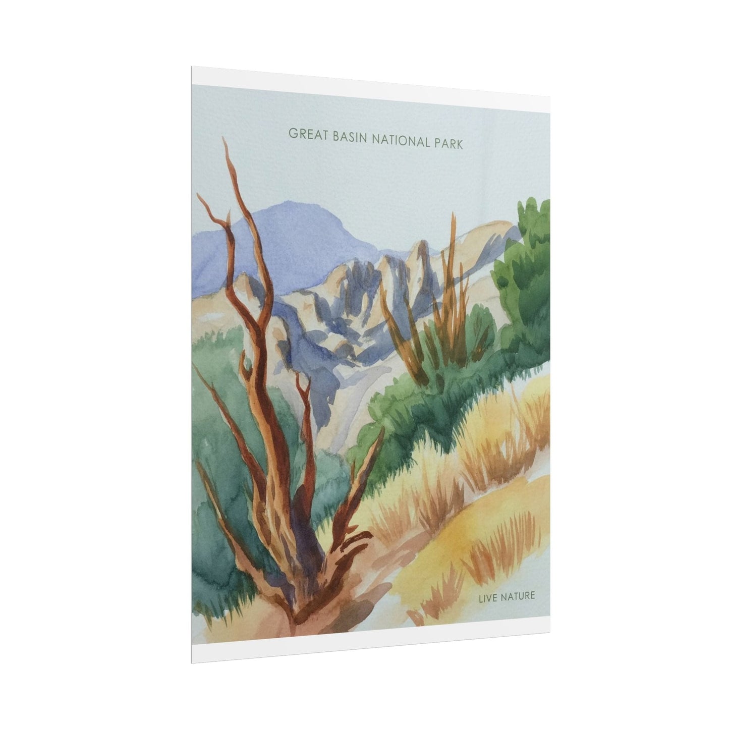 Great Basin National Park Watercolor Art Print