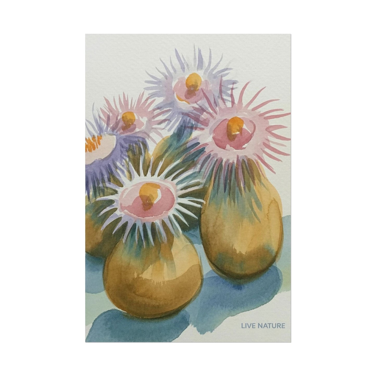 Colorful Sea Anemones Watercolor Art Print