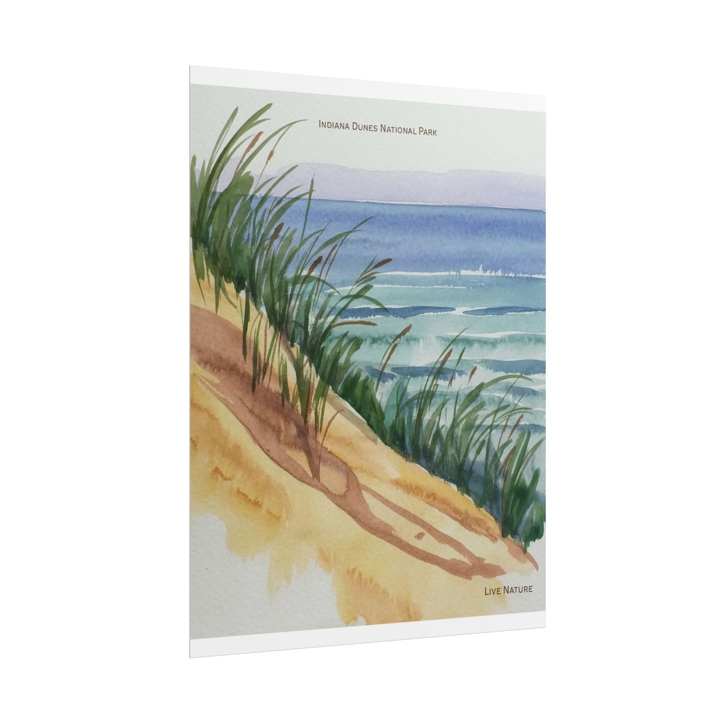 Indiana Dunes National Park Watercolor Print