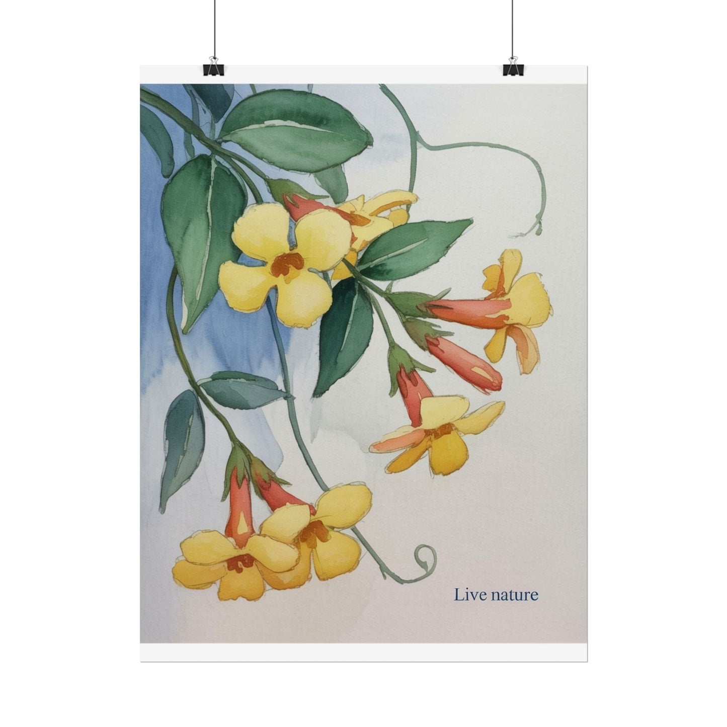 Yellow Jessamine Watercolor Art Print 'Live Nature