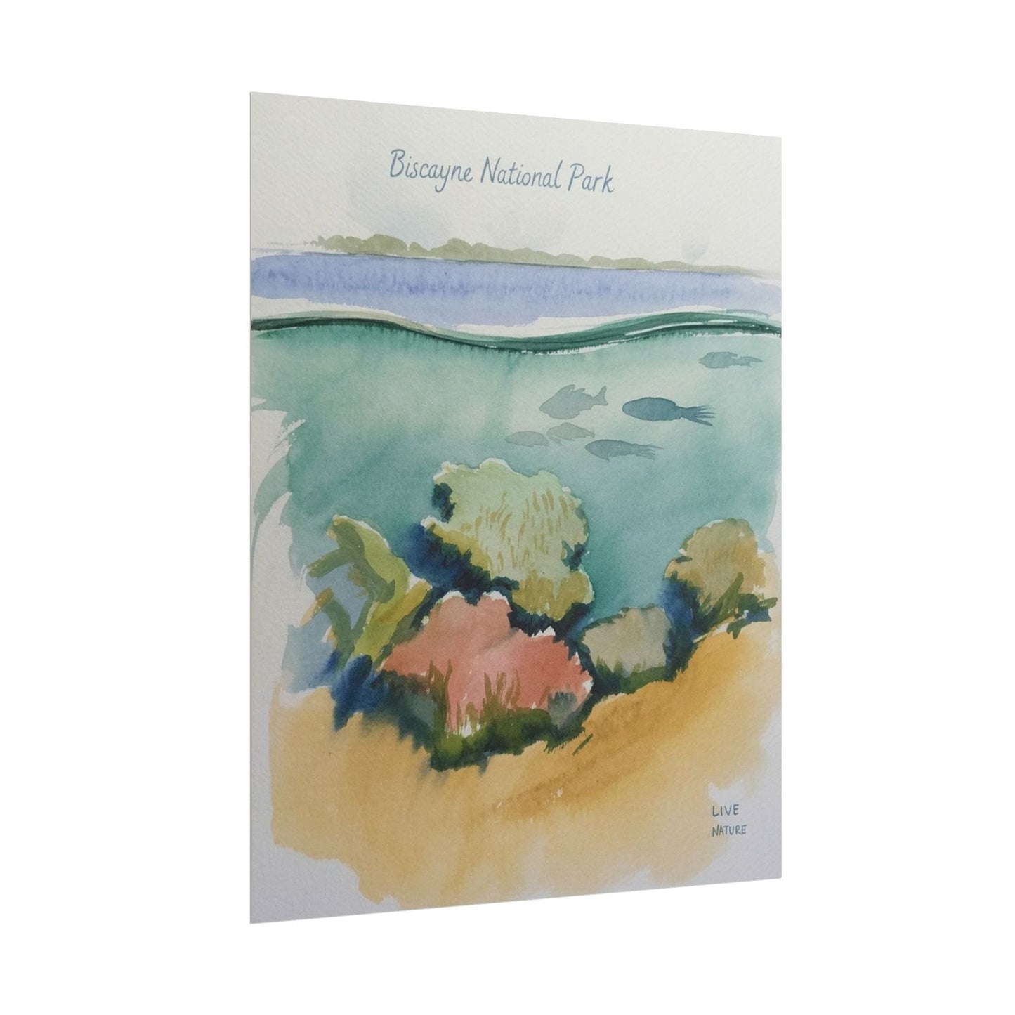 Biscayne National Park Underwater Watercolor Print