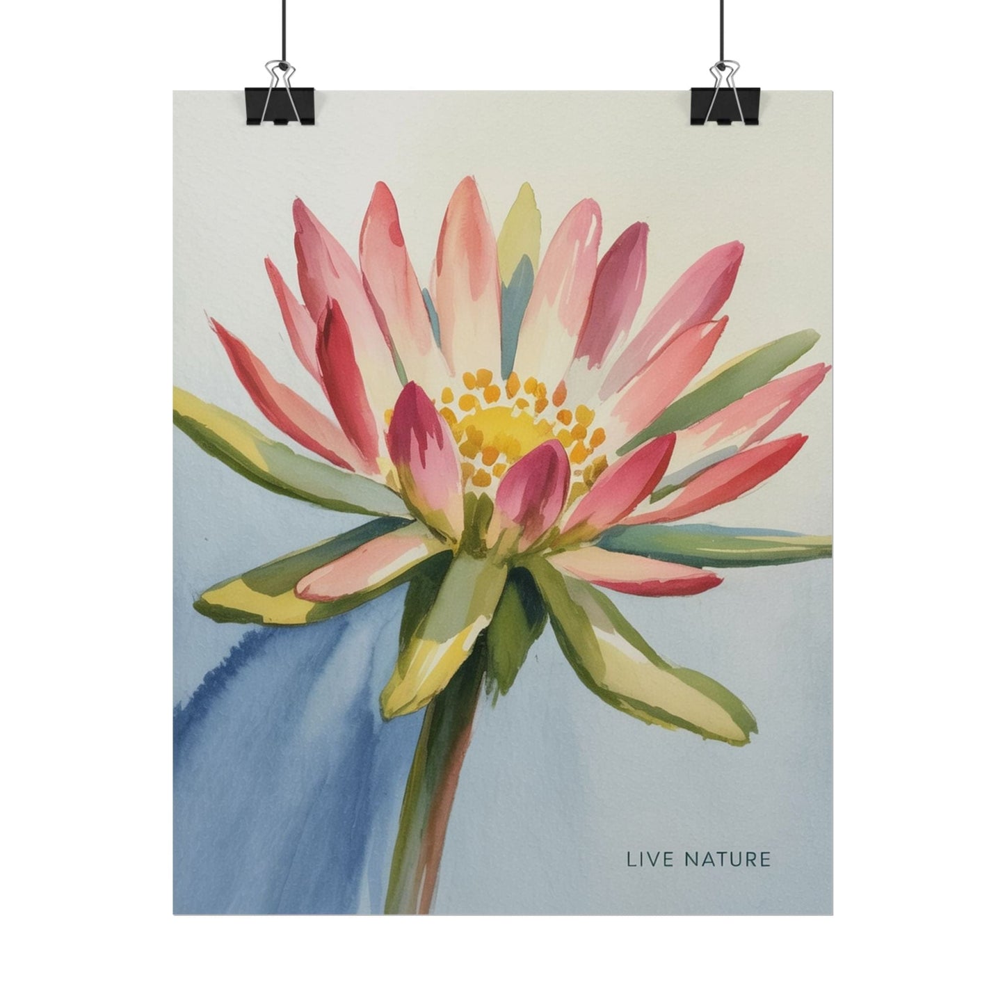 Bitterroot Flower Watercolor Print 'Live Nature
