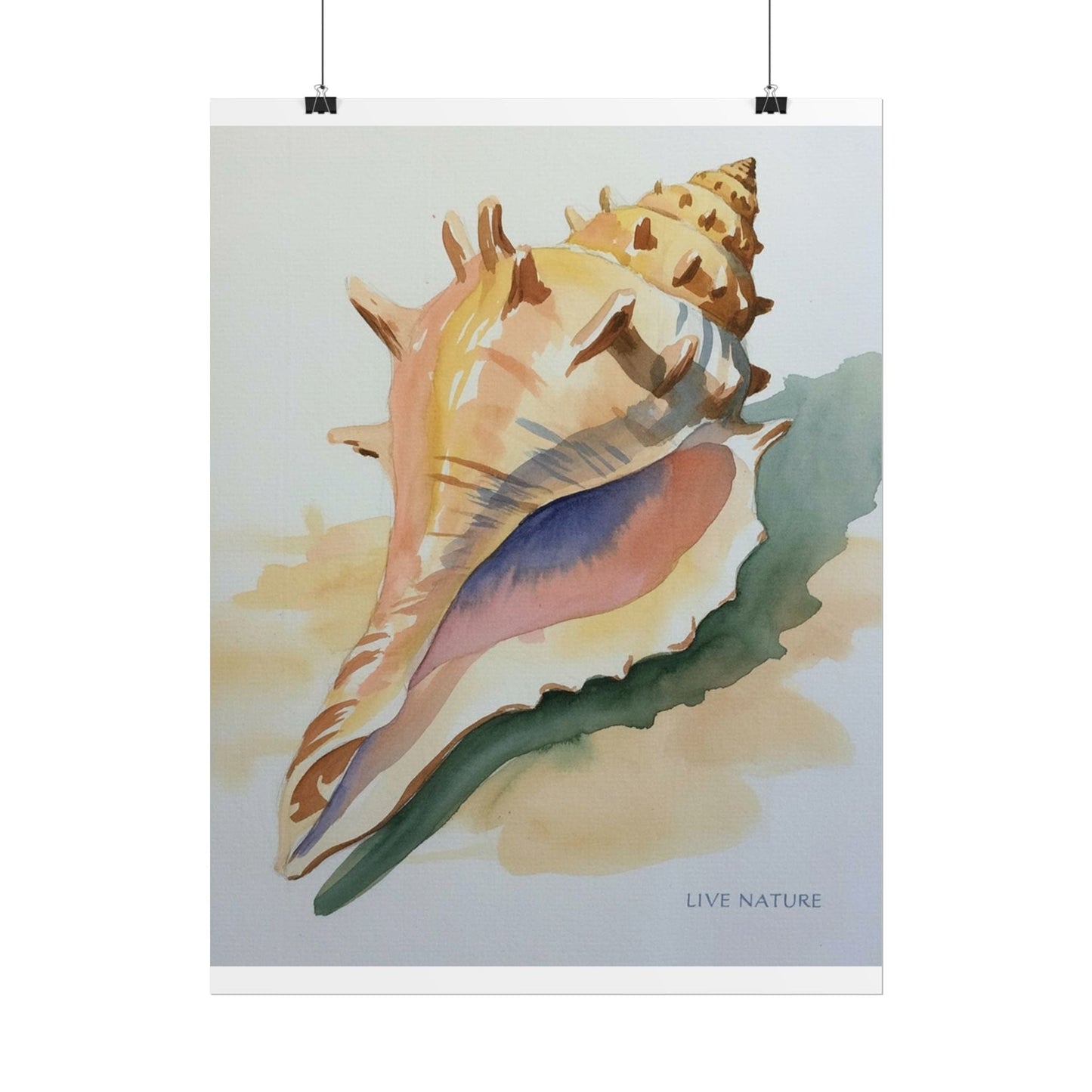 Conch Shell Watercolor Print 'Live Nature' Design