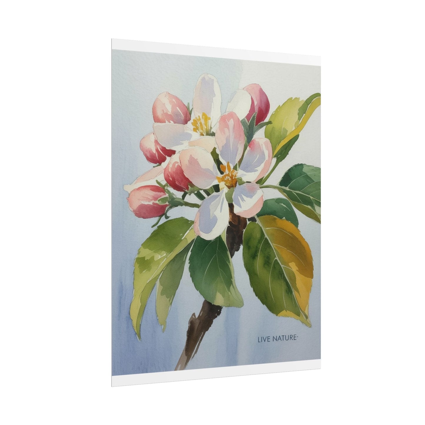 Apple Blossom Watercolor Print 'Live Nature' Design
