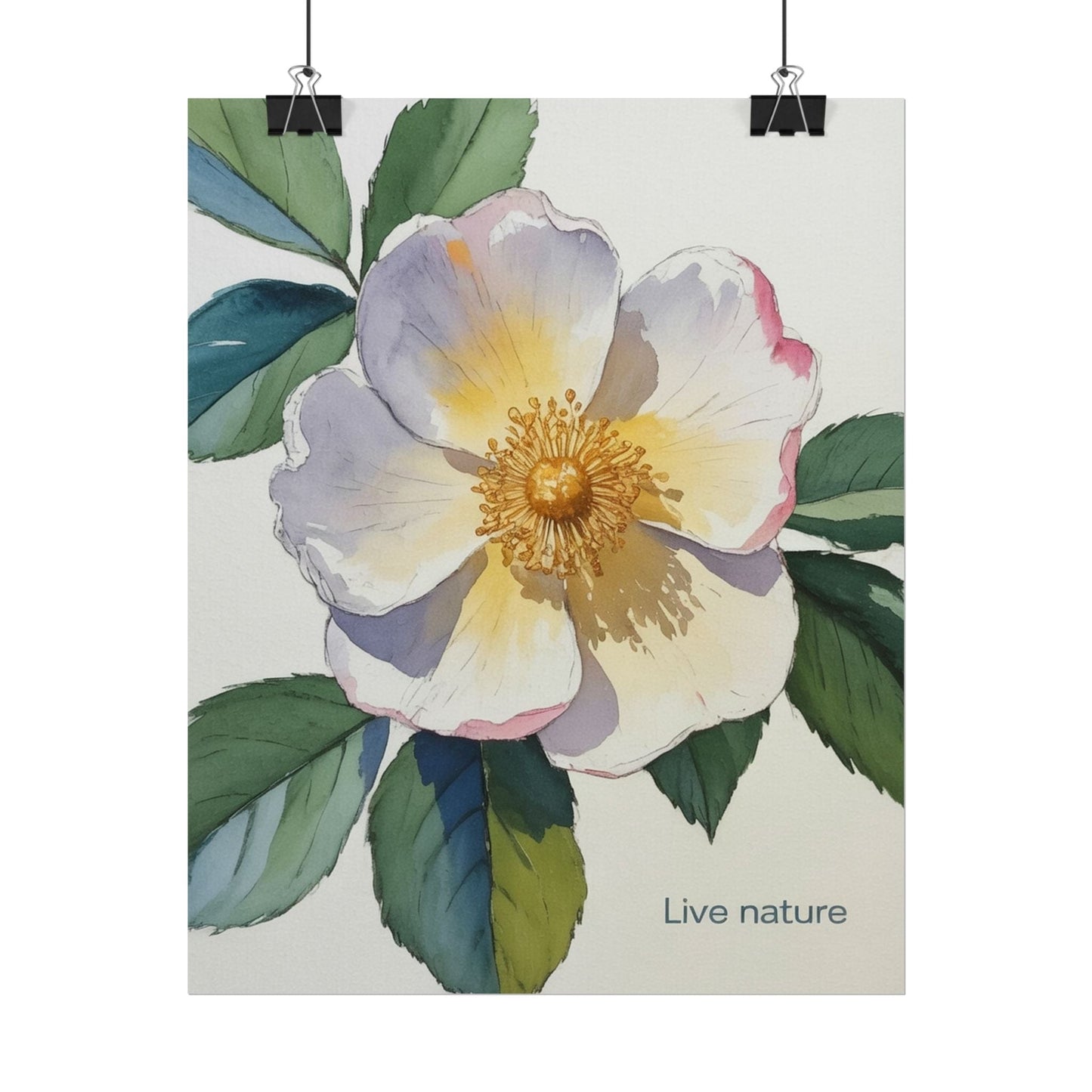 Cherokee Rose Watercolor Art Print 'Live Nature