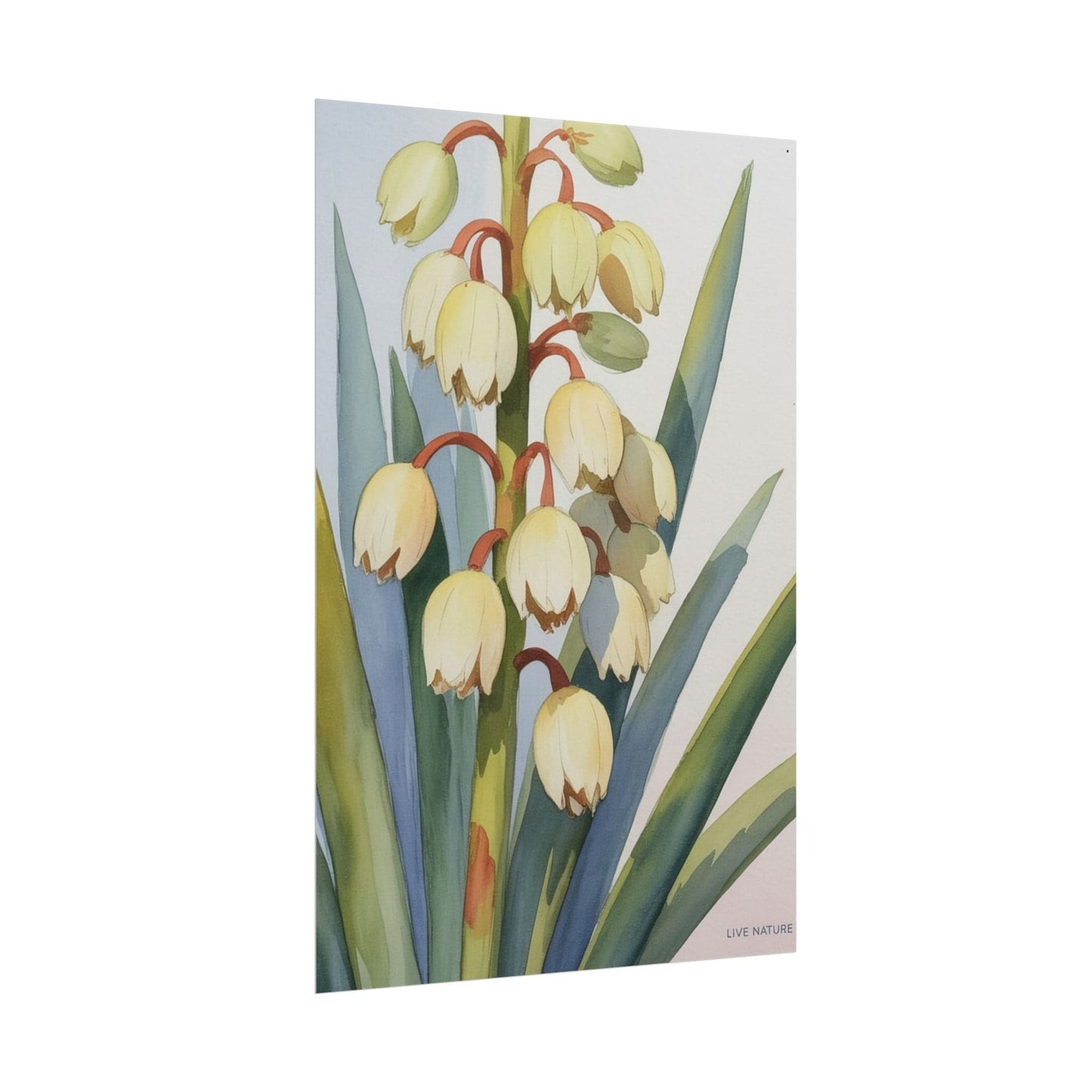 Yucca Bloom Watercolor Print Live Nature Collection